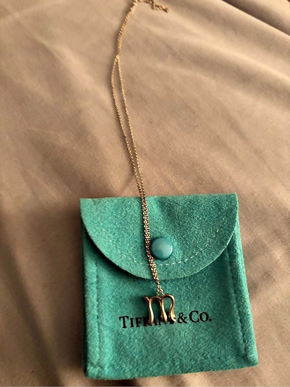 Tiffany & Co. Elsa Peretti Alphabet Letter M Pendant Necklace